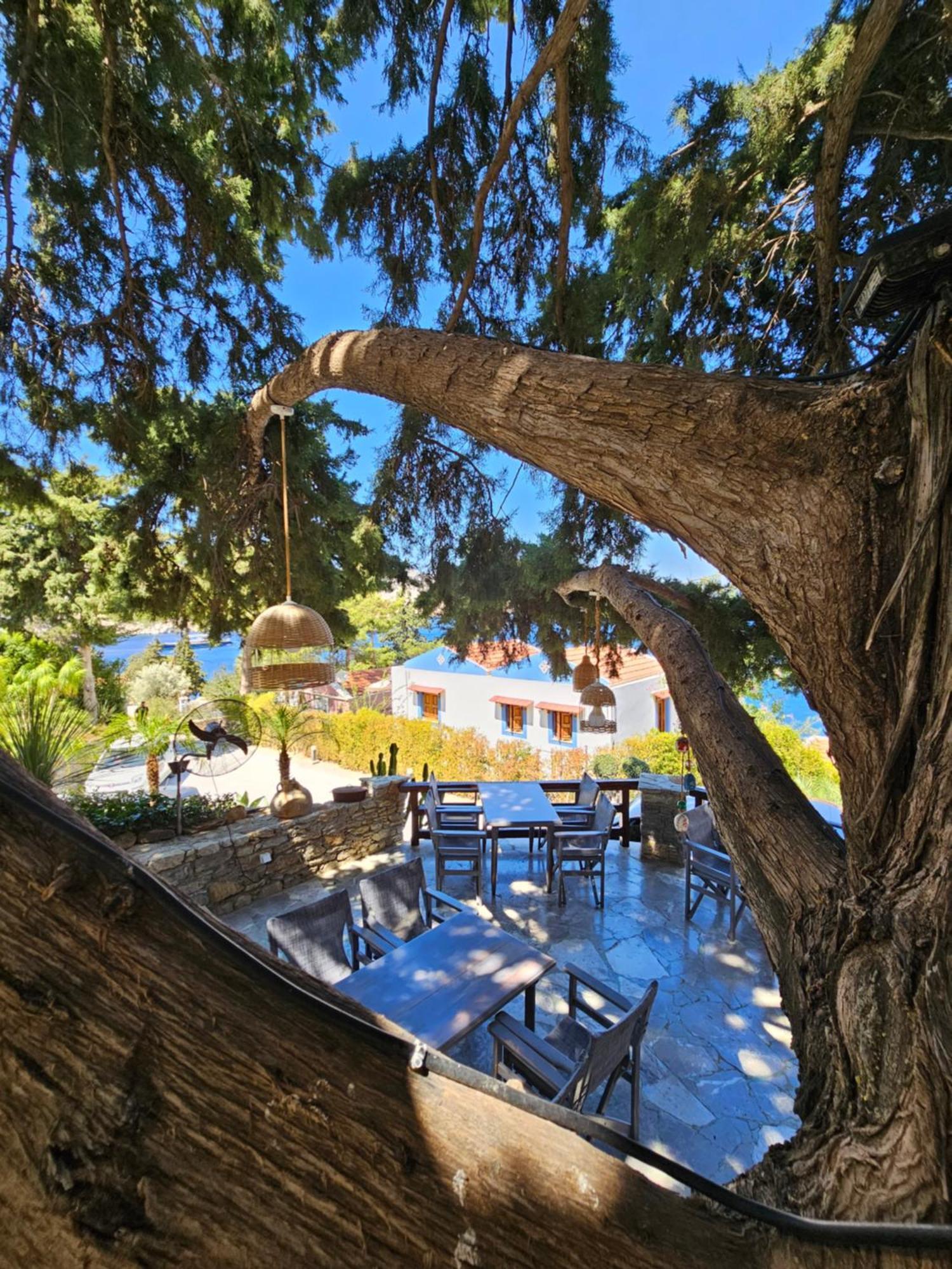 Niriides Hotel Apartments Symi Extérieur photo
